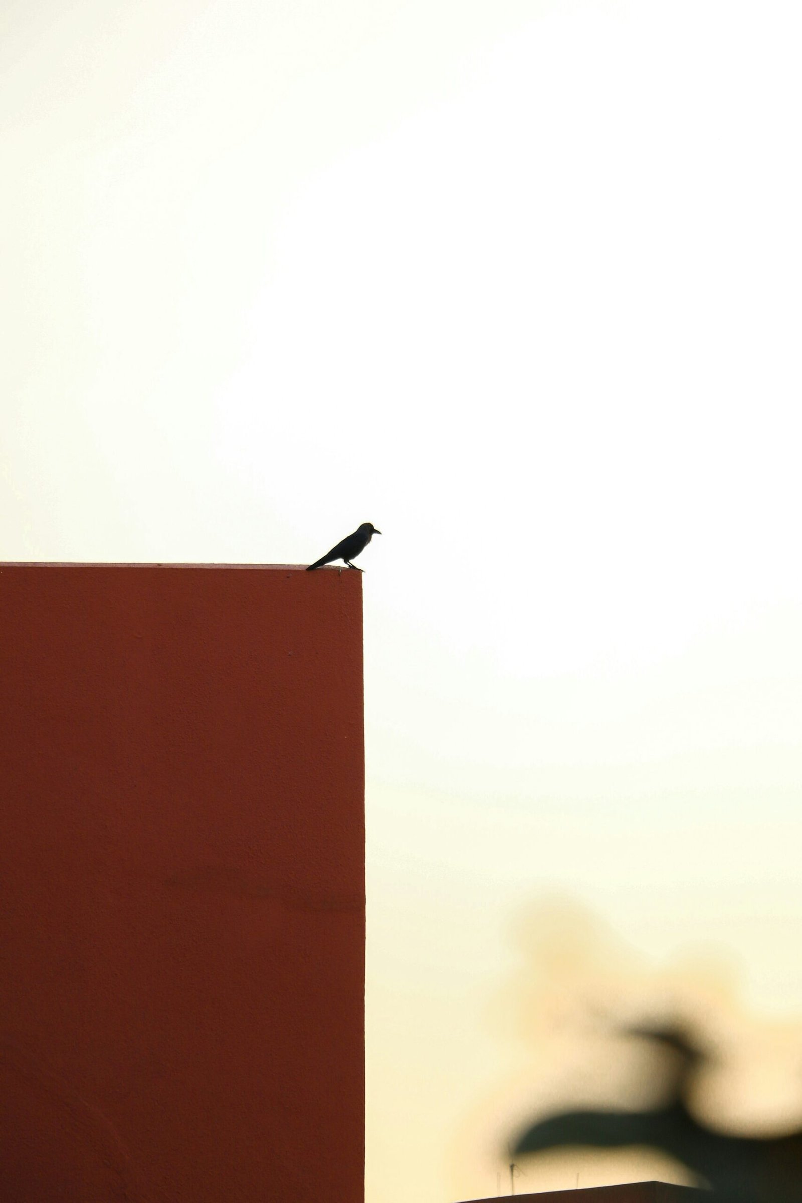 a small bird sitting on top of a red box
